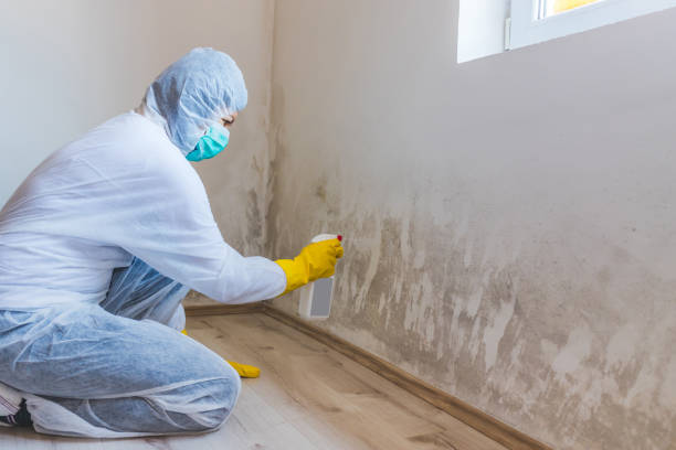 Hvac And Air Duct Mold Remediation inspection of HVAC system in Hanover